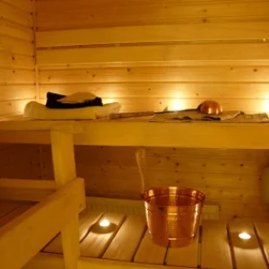 Sauna-Therapy